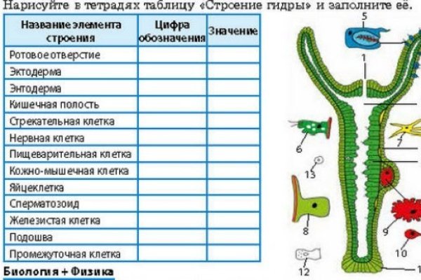 Кракен сайт официальный зеркало